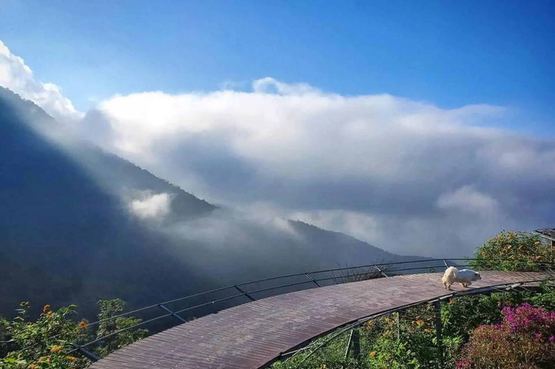 Ultimate Hanoi to Tam Dao Biking Tour 2 Days